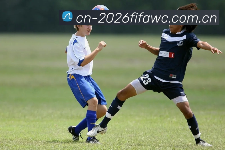 2026世界杯数据服务生态