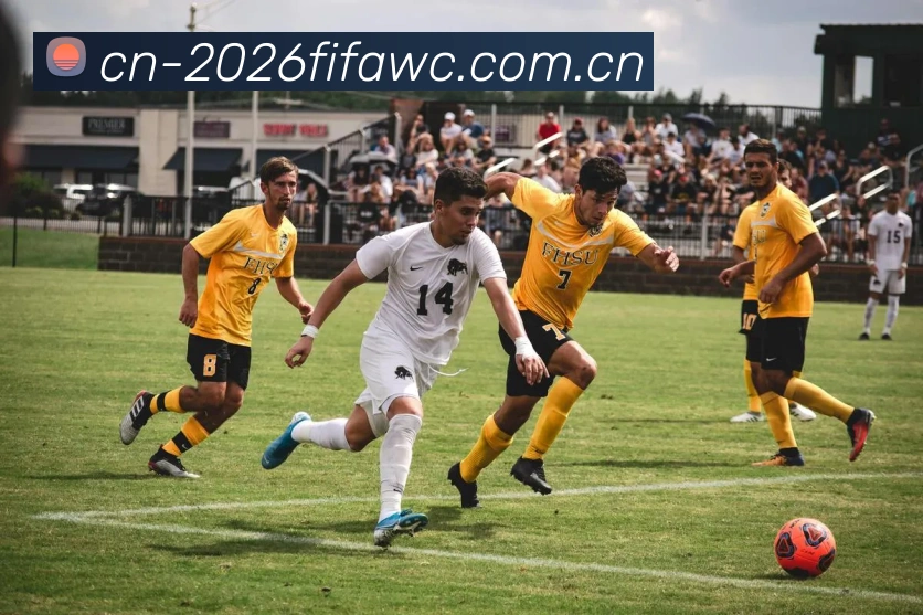 FIFA官方数据授权认证